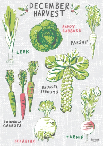 Winter allotment vegetable gift fr gardeners illustration by Beetroot Press